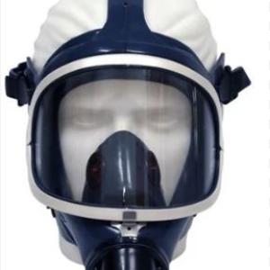 MASCARA FACIAL FULL FACE ABSOLUTE STD CA16774